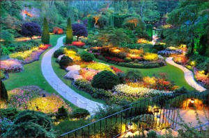 Garden Design by Ziba